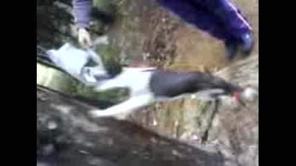 maik si igrae :p
