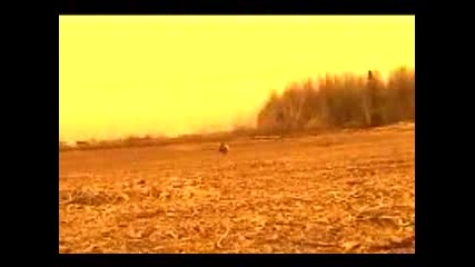 Portishead - Its A Fire