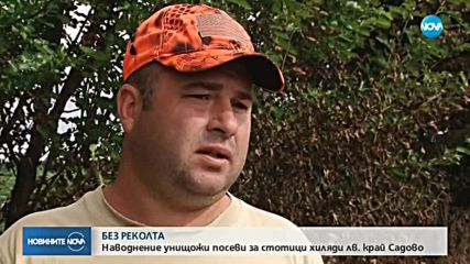 Хиляди декари унищожена реколта около Садово