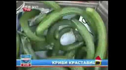 Криви Краставици - *господари На Ефира*