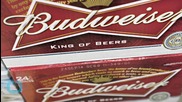 Anheuser-Busch Brewery Halts Beer to Bottle Water for Flood Victims