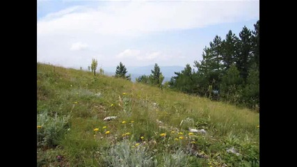 2006 05 12 Ankina skala 
