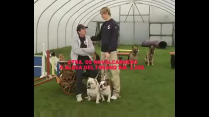 Фернандо Торес