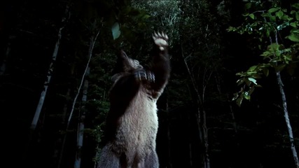 Furry Vengeance - Official Trailer [hd]