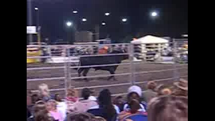 Australian Amateur Bull Riding in Tuncurry, Nsw 