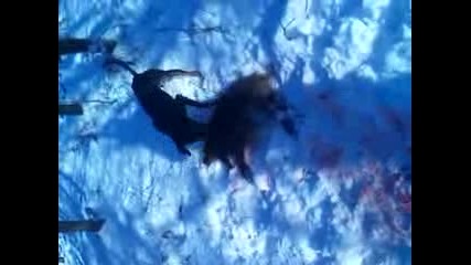Vid_20121225_091953