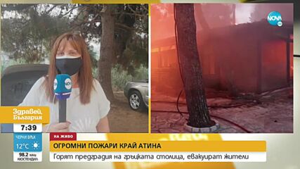 Пожарът край Атина се разраства, хората се евакуират