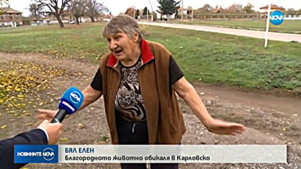 Бял елен обикаля в Карловско