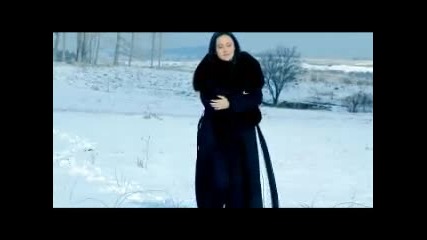 Мери Бойс Бенд - Слънчогледите Official Video 