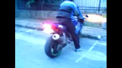 Biser Vraca R1
