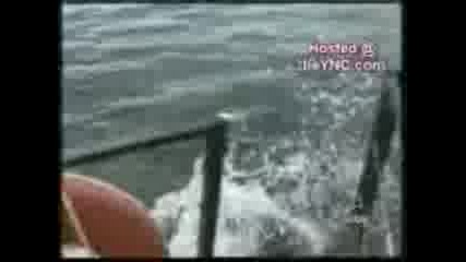 Funny Accidents