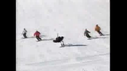Смешни Животни...