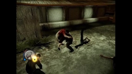 Sleeping dogs -fun