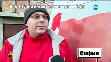 Институции нехаят за животно в беда - 2 - Господари на ефира (26.01.2015г.)