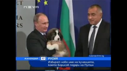 Путин търси име на си куче