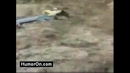 Луд Шофьор!?