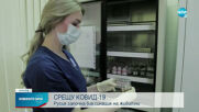 Русия започна да ваксинира и животни срещу COVID-19