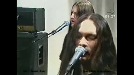 Pain - Eleanor Rigby
