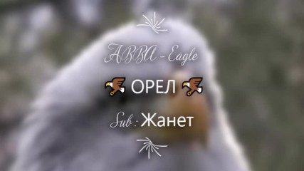 Abba - Eagle / Превод /