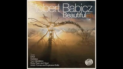 Robert Babicz - Beautiful Ремикс