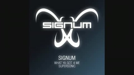 Signum - What Ya Got 4 Me (Yvan Prog Progtrance Mix)