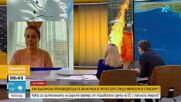 Фермери от ЕС алармират: Споразумението с Меркосур застрашава европейското земеделие