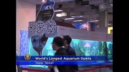 33 метров аквариум в Тайван