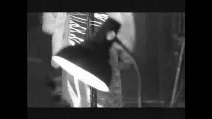 Kamelia - ti si