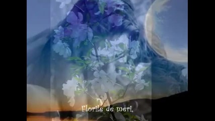 Secret Garden-adagio