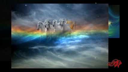 Природа... ...бели птици и животни... ...