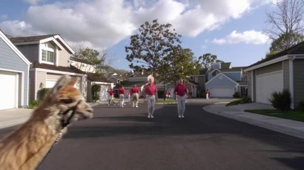The Neighbors S01e02 - Journey To The Center Of The Mall