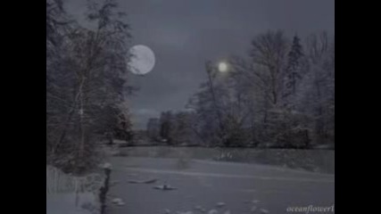 Winter Moonlight - Secret Garden