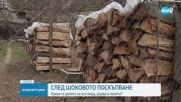 СЛЕД ШОКОВОТО ПОСКЪПВАНЕ: Какви са цените на въглища, дърва и пелети?