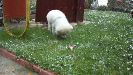 Лъки и първия му сняг