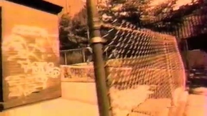 Common Sense - Soul By The Pound 1993 Hq