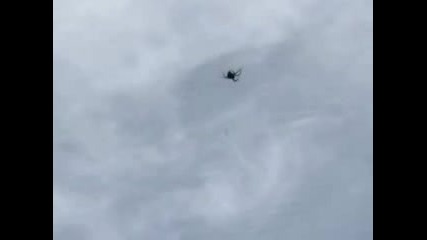 Spider Web 