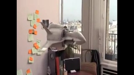 Лаптопите на Mac - Страшни Са