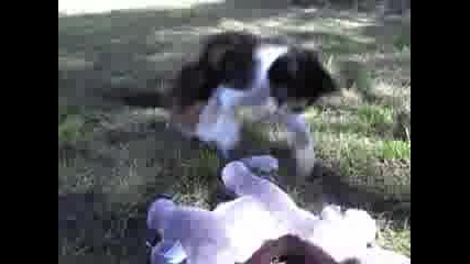 brutal fight uncensored 