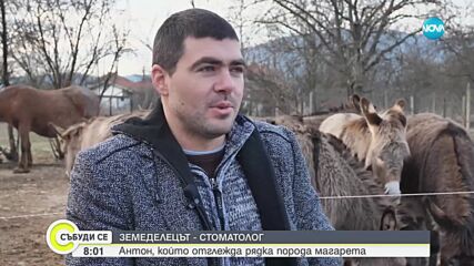 Фермер отглежда магарета и работи като стоматолог