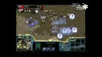 Bisu[shield] Path Of The Career