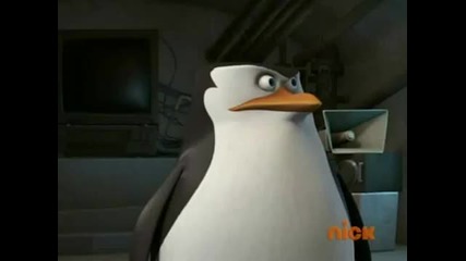 The Penguins of Madagascar - Sting Operation s01e36