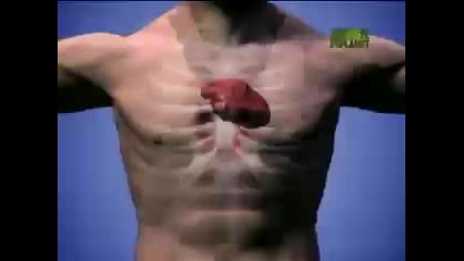 Horse Kicks Riders Face