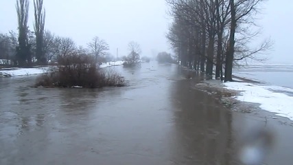 Реката край с. Малево (06.02.12) (2)