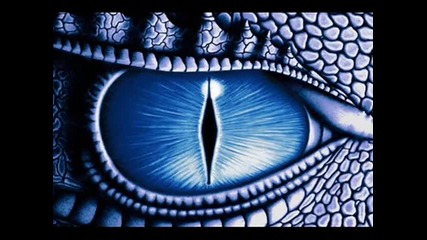 Holy Dragons - Dragon Eyes 