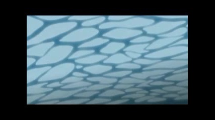 Naruto Shippuuden Епизод 112 bg subs (високо Качество)