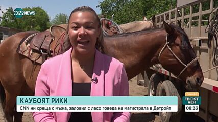 Мъж хвана с ласо говедо на магистрала в Детройт