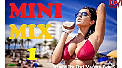Mini Mix 1 - Vdj Vanny Boy®