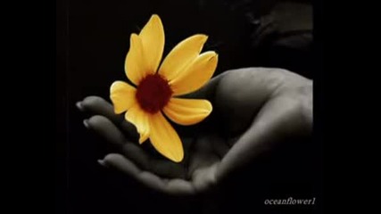 Your Love - Ennio Morricone & Dulce Pontes
