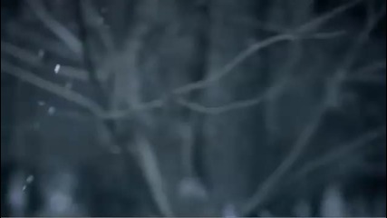 Birds Of Tokyo - Wild At Heart (hq) 