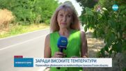 Жега спира камионите: Ограничения в 8 области заради горещините